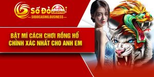 Bật mí cách chơi rồng hổ chính xác nhất cho anh em