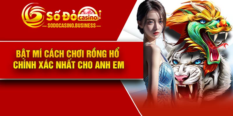 Bật mí cách chơi rồng hổ chính xác nhất cho anh em