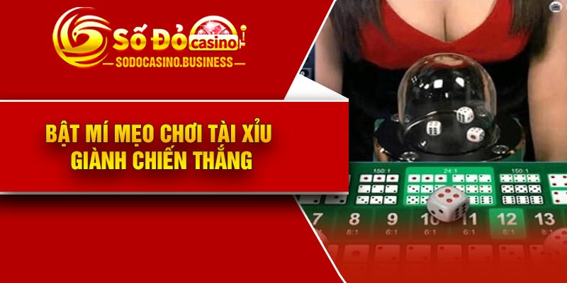 Bật mí mẹo chơi Tài xỉu giành chiến thắng