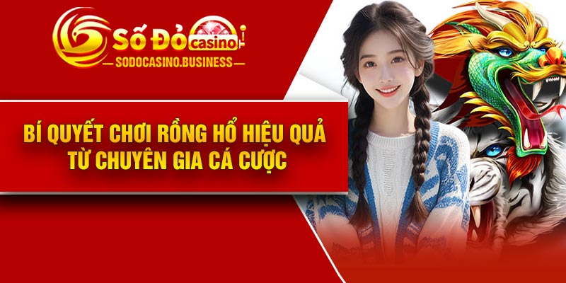 Bí quyết chơi rồng hổ hiệu quả từ chuyên gia cá cược