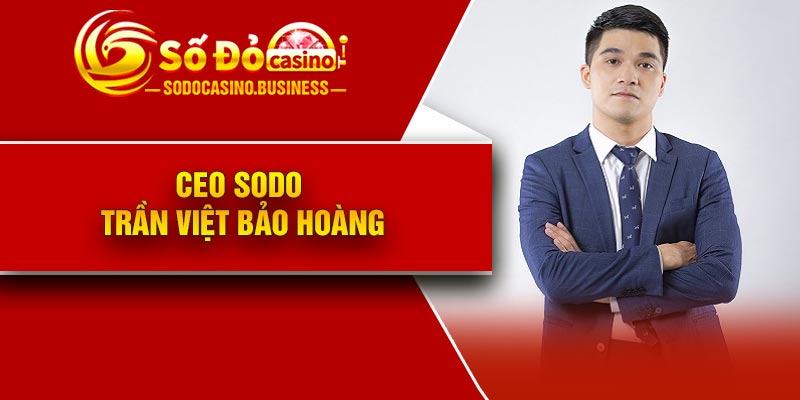 Tiểu sử và sự nghiệp của CEO Trần Việt Bảo Hoàng
