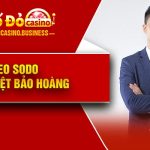 Ceo Sodo - Trần Việt Bảo Hoàng