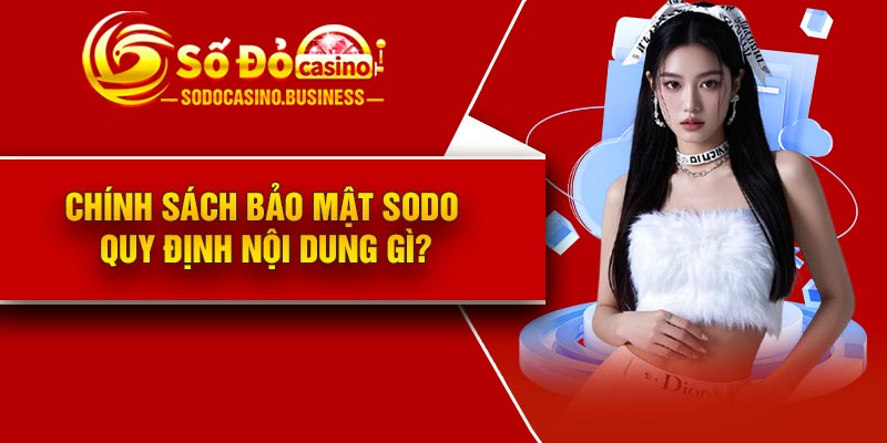 Chính sách bảo mật Sodo quy định nội dung gì?