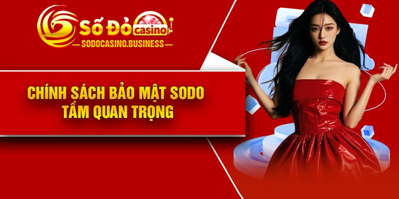 Chính sách bảo mật Sodo – Tầm quan trọng
