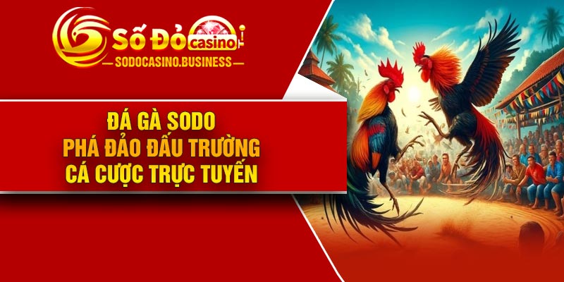 Đá gà Sodo – Phá đảo đấu trường cá cược trực tuyến