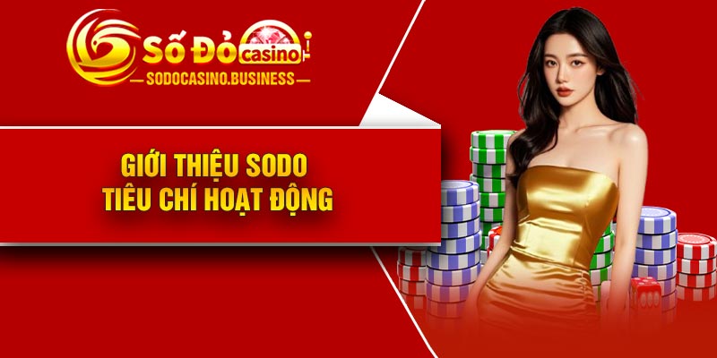 Giới thiệu Sodo – Tiêu chí hoạt động