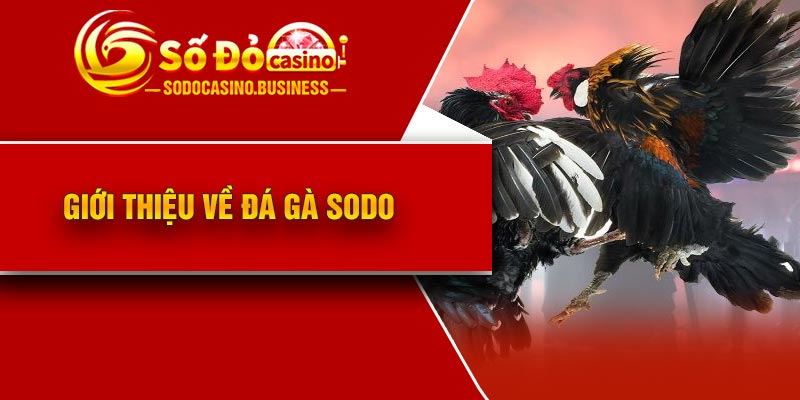 Giới thiệu về đá gà Sodo