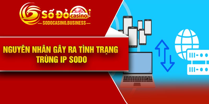 Nguyên nhân gây ra tình trạng trùng IP Sodo