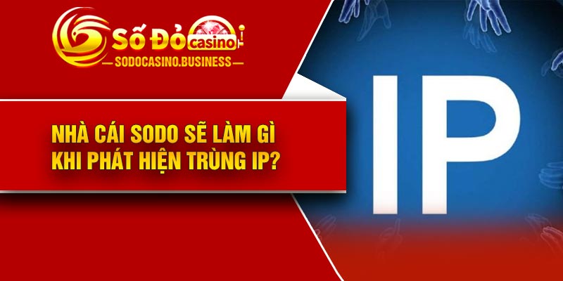 Nhà cái Sodo sẽ làm gì khi phát hiện trùng IP?