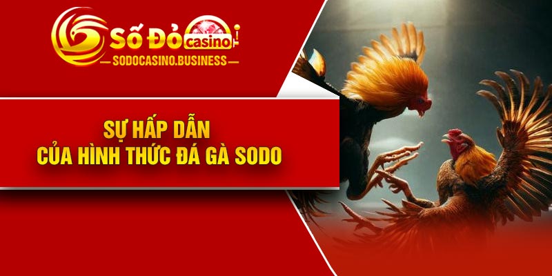 Sự hấp dẫn của hình thức đá gà Sodo