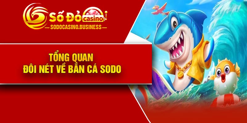 Tổng quan đôi nét về bắn cá Sodo
