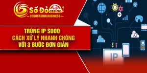 Trùng IP Sodo – Cách xử lý nhanh chóng với 3 bước đơn giản