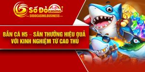 Bắn cá H5 – Săn thưởng hiệu quả với kinh nghiệm từ cao thủ