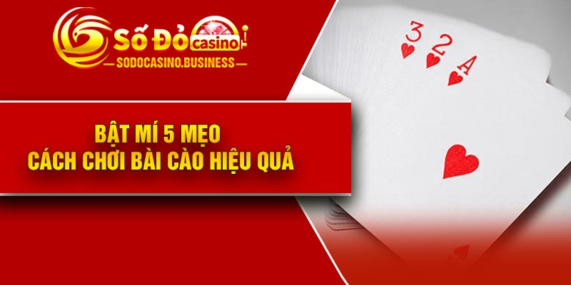 Bật mí 5 mẹo cách chơi bài cào hiệu quả