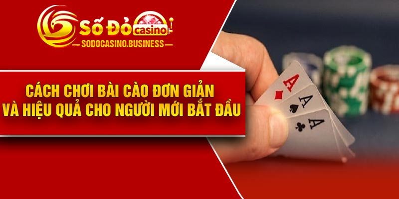 Cách Chơi Bài Cào Đơn Giản Và Hiệu Quả Cho Người Mới Bắt Đầu