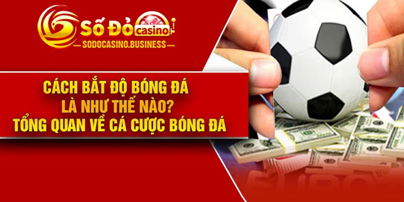 Cách bắt độ bóng đá là như thế nào? Tổng quan về cá cược bóng đá