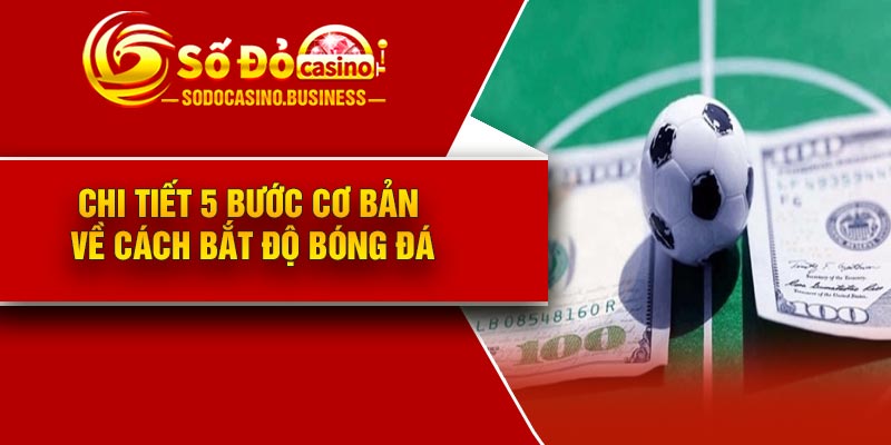 Chi tiết 5 bước cơ bản về cách bắt độ bóng đá