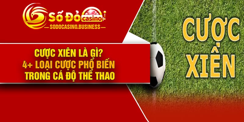 Cược Xiên Là Gì? 4+ loại cược phổ biến trong cá độ thể thao