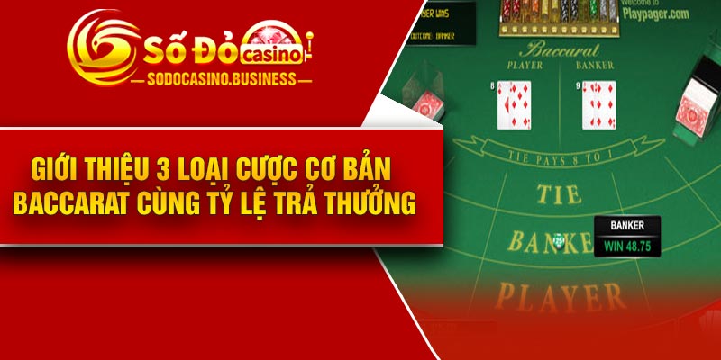 Giới thiệu 3 loại cược cơ bản Baccarat cùng tỷ lệ trả thưởng