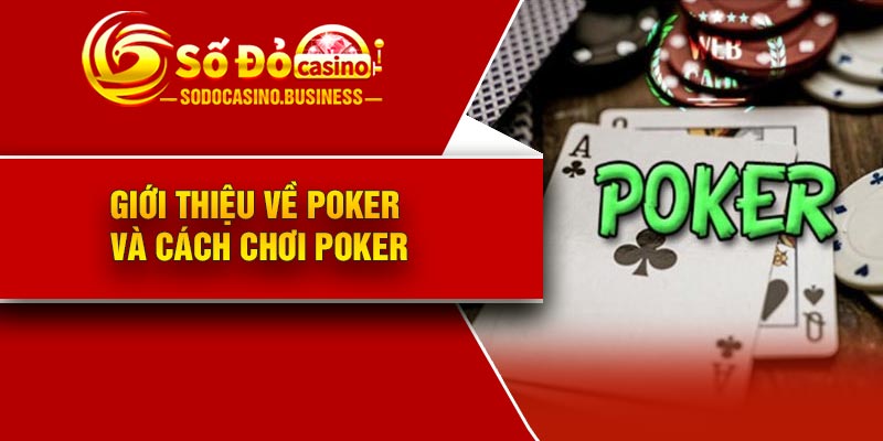 Giới thiệu về Poker và cách chơi Poker
