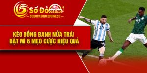 Kèo Đồng Banh Nửa Trái - Bật mí 6 mẹo cược hiệu quả