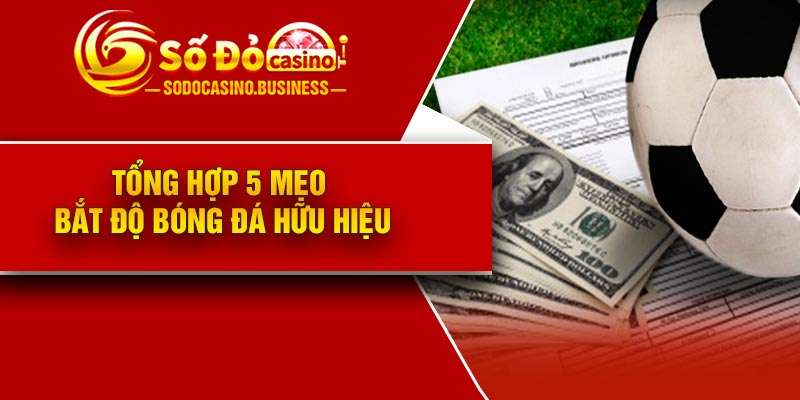 Tổng hợp 5 mẹo bắt độ bóng đá hữu hiệu