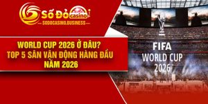 World Cup 2026 ở đâu? Top 5 sân vận động hàng đầu năm 2026