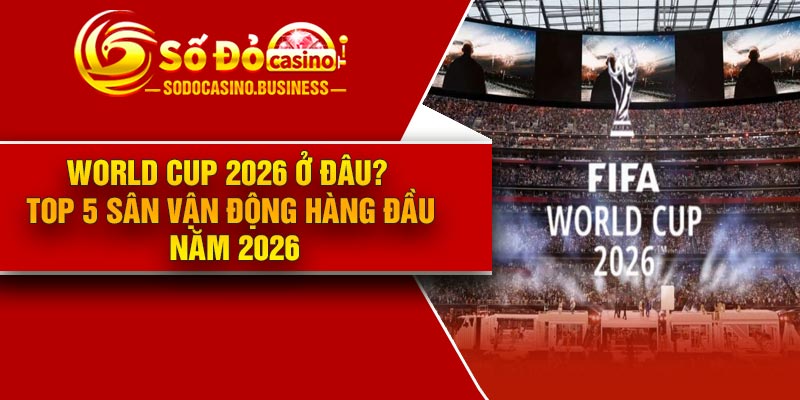 World Cup 2026 ở đâu? Top 5 sân vận động hàng đầu năm 2026